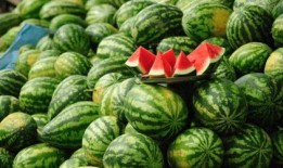 西瓜皮皮娱乐大爆料,揭秘娱乐圈幕后真相